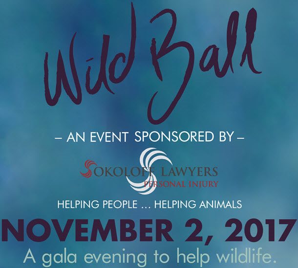Join Sokoloff for the 2017 Wild Ball