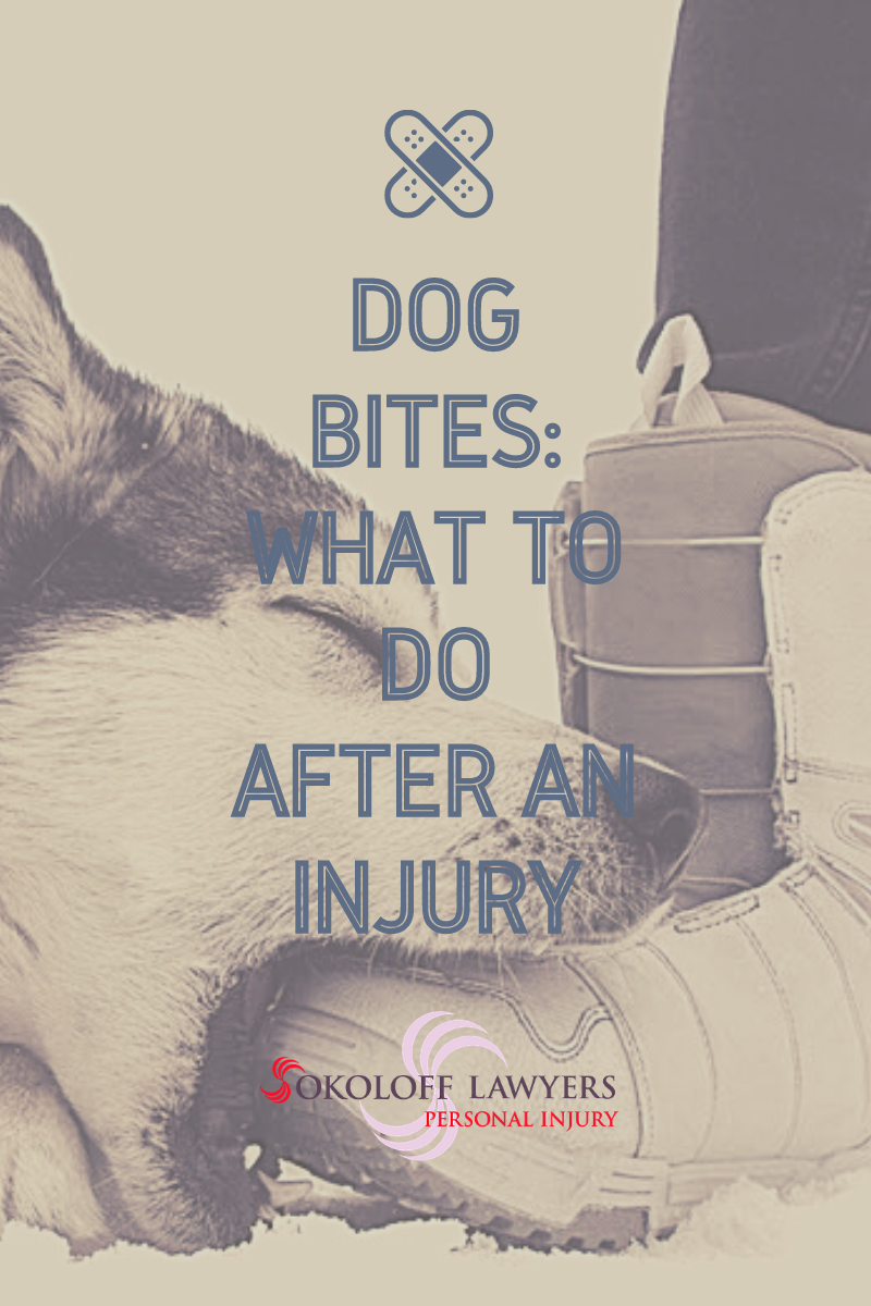Dog Bite Lawyers in Toronto