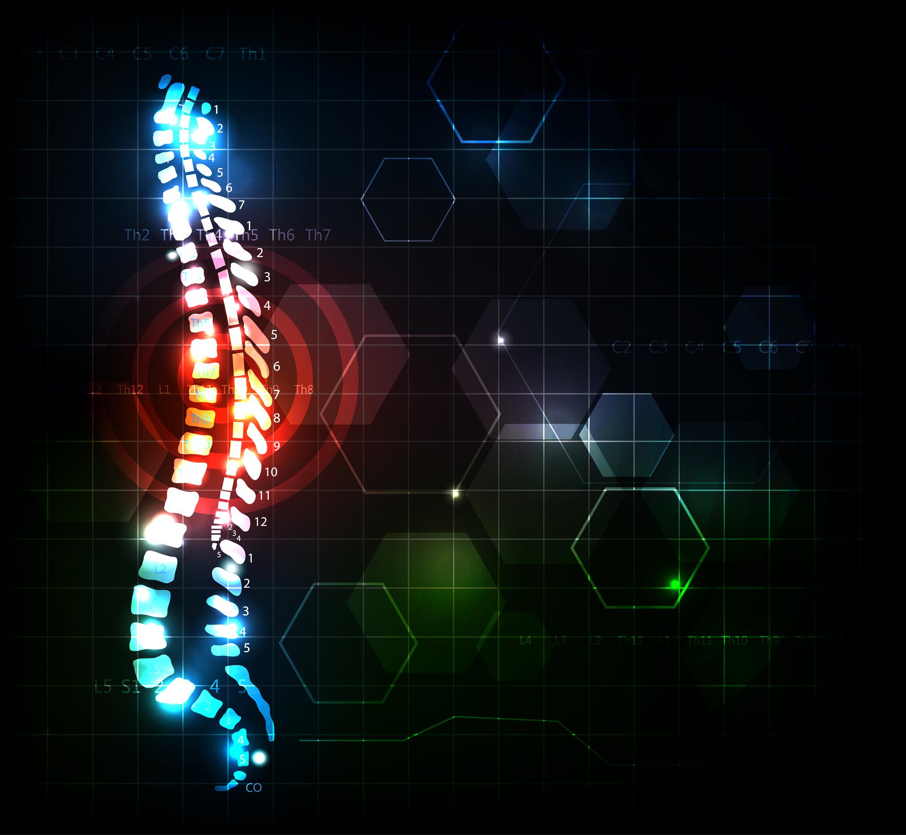 Hiring a Lawyer to File Your Spinal Cord Injury Claims after a Serious Spinal Injury