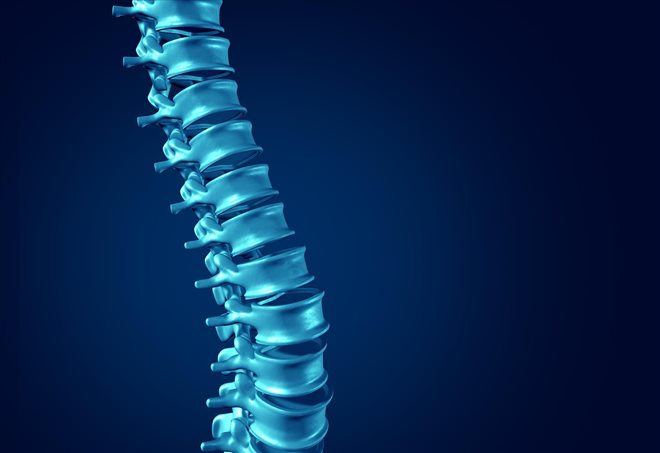 Hiring a Toronto Personal Injury Lawyer to File Your Spinal Injury Claims after a Serious Trauma