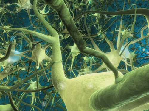 The Costs and Complications That Lead to Spinal Cord Injury Claims making an insurance claim after suffering a spinal injury